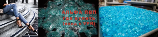 индика Заволжье