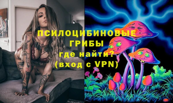 спиды Зеленокумск