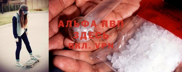 сатива Заводоуковск
