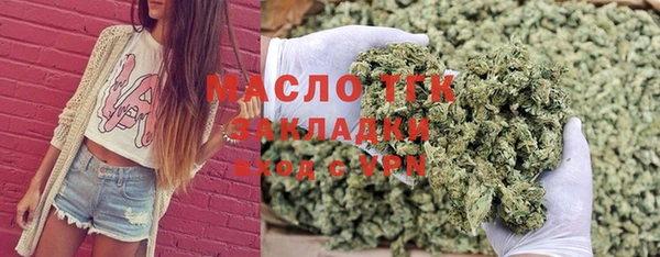 сатива Заводоуковск