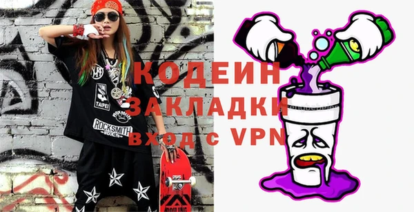 индика Заволжье