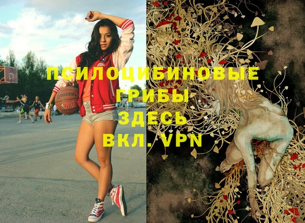 спиды Зеленокумск