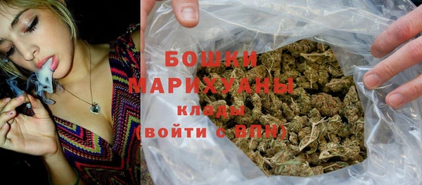 сатива Заводоуковск