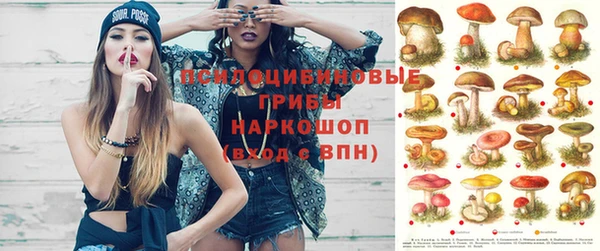 спайс Зерноград