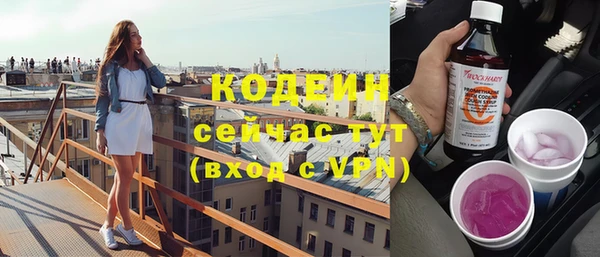 сатива Заводоуковск