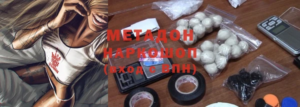индика Заволжье